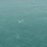 Wind wave conditions at the ISMAR oceanographic tower, no rain. U10 10 m/s, Hs 1.4 m. Note the frequent white-caps typical of an active generation.