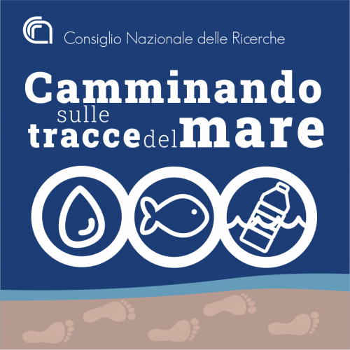 Apre la piattaforma: Camminando sulle tracce del mare