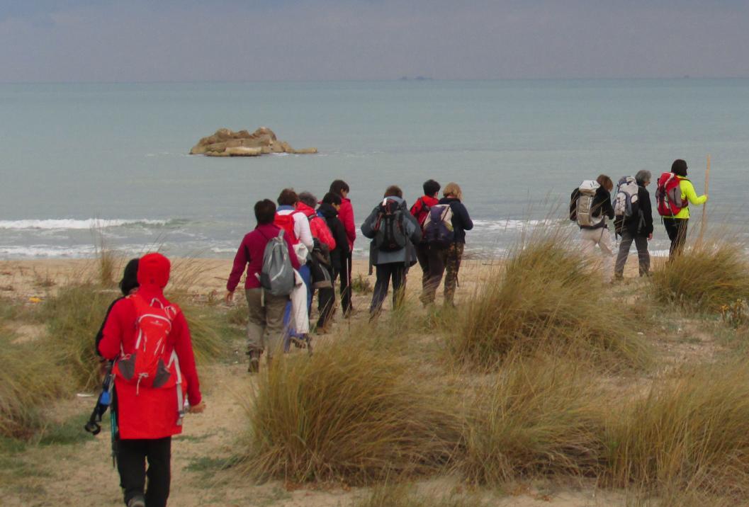 Camminando sulle tracce del mare