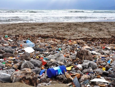 LA PLASTICA IN MARE Inquinamento, prevenzione, educazione