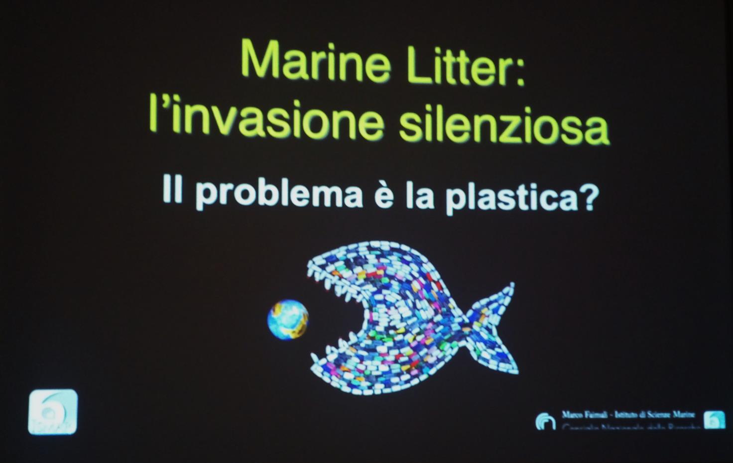 Un mare di plastica? Purtroppo sì...