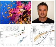 Alcune specie di coralli sono in grado di resistere all'acidificazione degli oceani