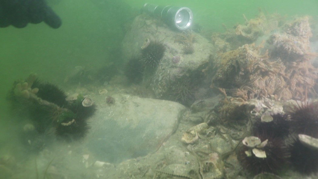 Archeologia nella Laguna di Venezia: scoperta una probabile strada romana ora sommersa