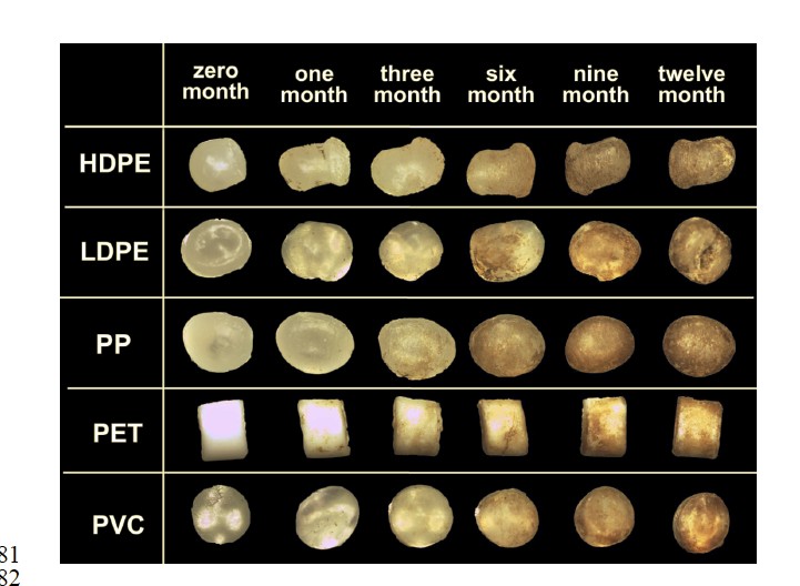 Assorbimento di POPs e pesticidi nelle microplastiche