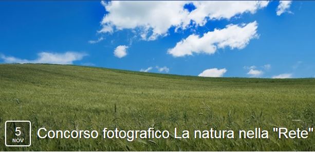 Concorso fotografico LTER-Italia: La natura nella 