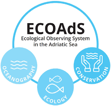 ECOSS un progetto per l’ecosistema marino dell’Adriatico patrimonio naturale da tutelare