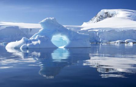 Servizio sulla riunione della Commissione per la conservazione delle risorse biologiche marine antartiche