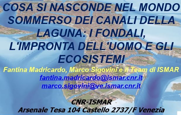 Cosa si nasconde nel mondo sommerso dei canali della laguna di Venezia 