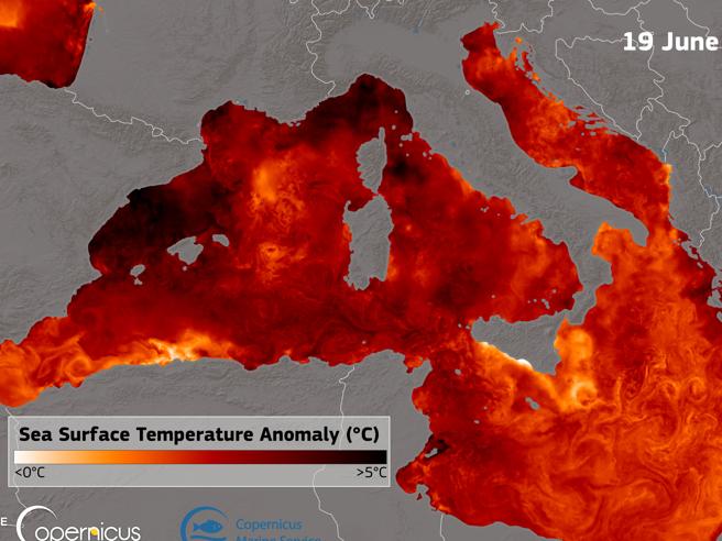 Mediterraneo bollente, + 4° sopra le medie stagionali