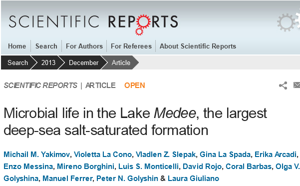 Microbial life in the Lake Medee, the largest deep-sea salt-saturated formation