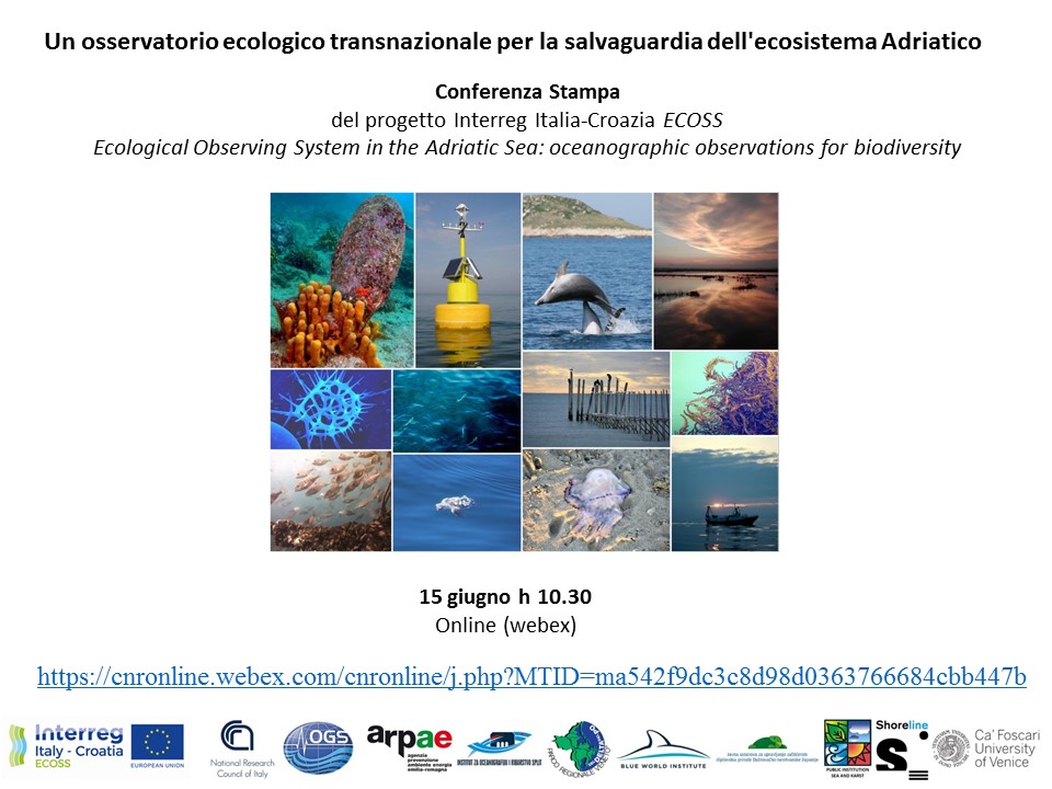 Un osservatorio ecologico transnazionale per la salvaguardia dell'ecosistema dell’ Adriatico