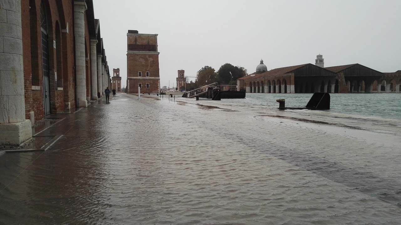 Venezia 29 Ottobre: acqua alta a +1.56 metri