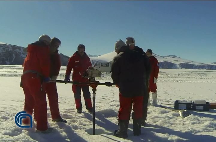 Video dall’Antartide: alla ricerca delle uova del Silverfish 