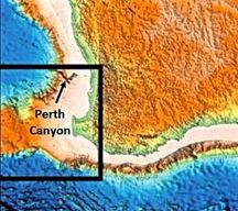 Perth Canyon - Australia: first deep exploration