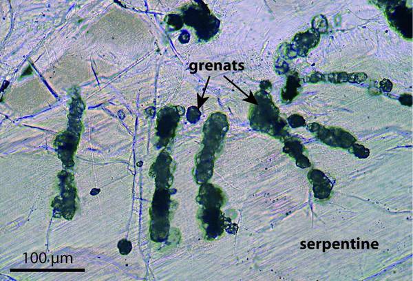 The first intra-terrestrial life forms are microorganisms that live at great depths