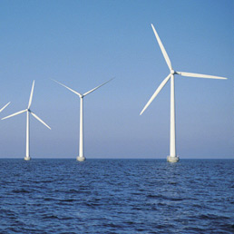 For marine parks and wind farms the future is together