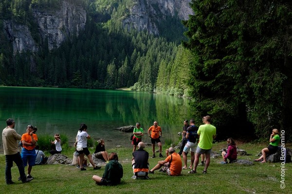 lago di Tovel - Reinserimento dell'Orso bruno