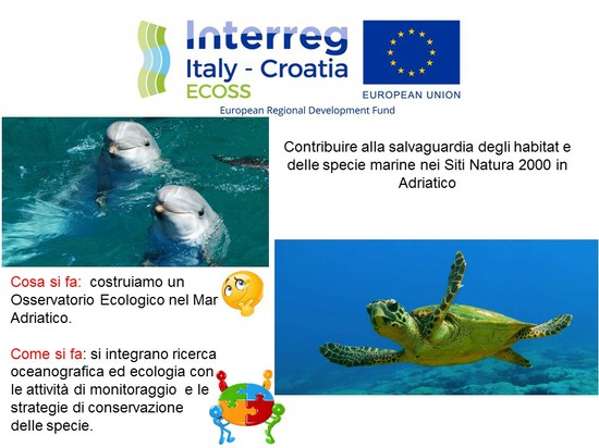 SpiegazioneECOSS.jpg