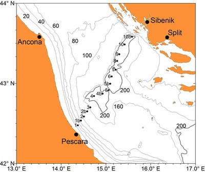 transects