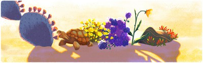 doodle - desert and tortoise