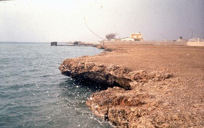 1977-78 Saudi Arabia - Spedizioni G.R.S.T.S.