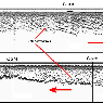 Sezioni acustiche di un grande paleocanale in diversi punti. Le linee rette verticali indicano la posizione di carotaggi. Le scale orizzontali e verticali sono di 300 e 7.5 m, rispettivamente. Frecce rosse: indicano la direzione di migrazione del meandro